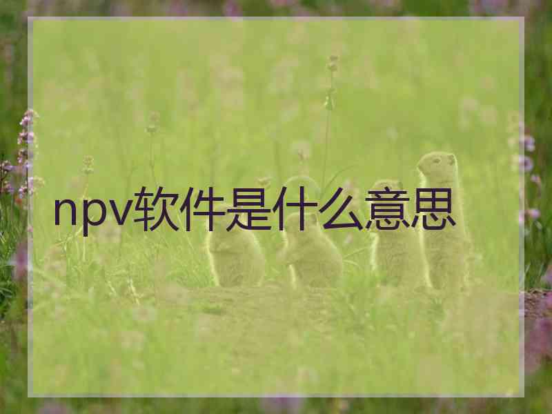 npv软件是什么意思