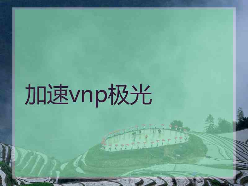 加速vnp极光