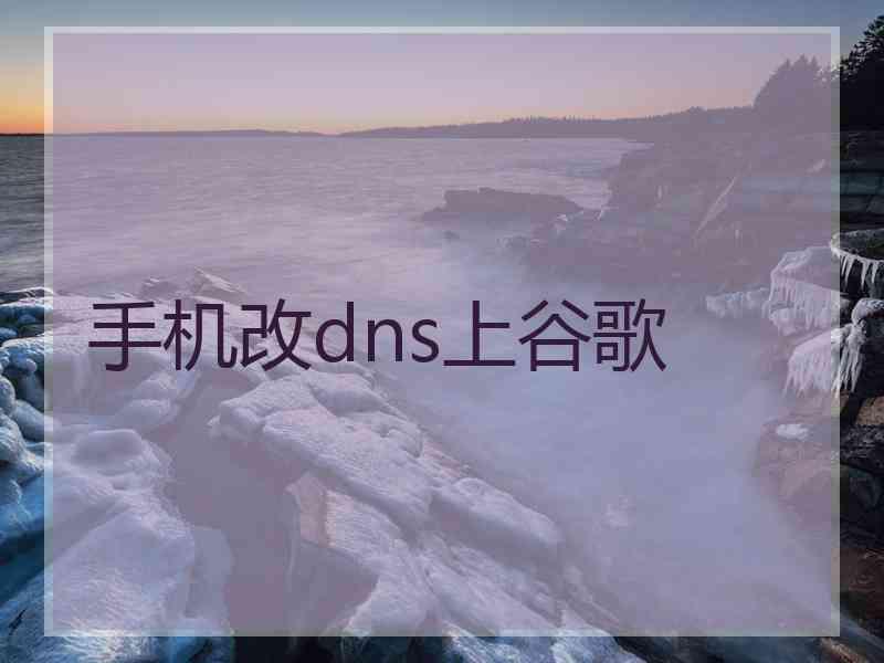 手机改dns上谷歌