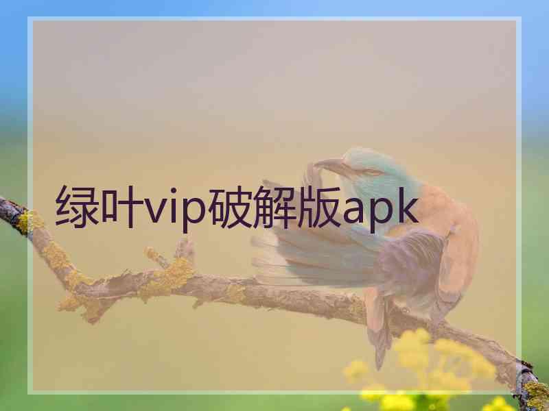 绿叶vip破解版apk