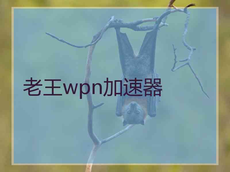 老王wpn加速器