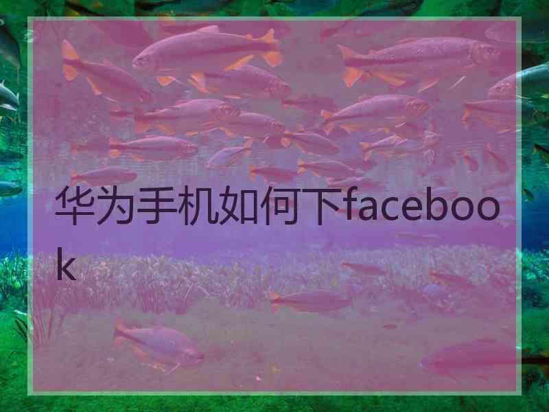 华为手机如何下facebook