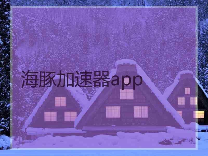 海豚加速器app