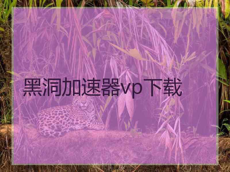 黑洞加速器vp下载