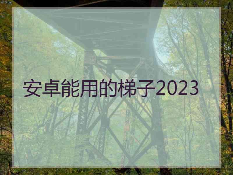 安卓能用的梯子2023