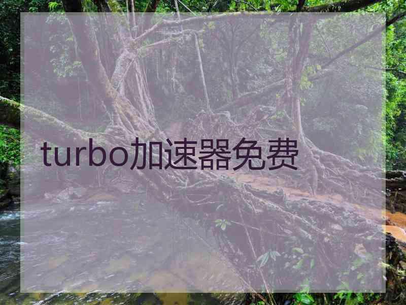 turbo加速器免费