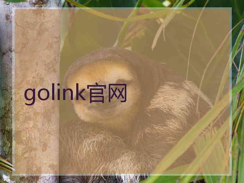 golink官网