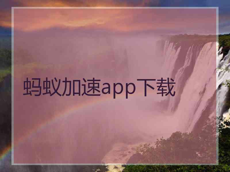 蚂蚁加速app下载