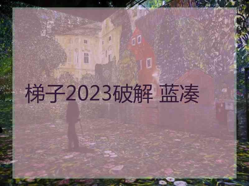 梯子2023破解 蓝凑