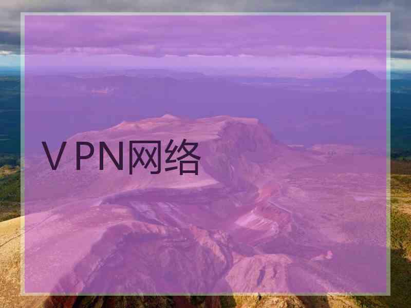 ⅤPN网络