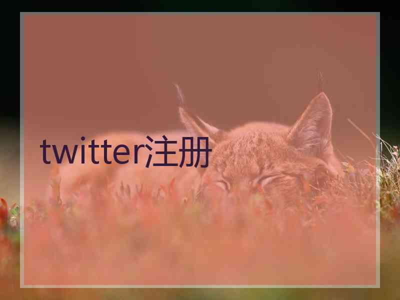 twitter注册