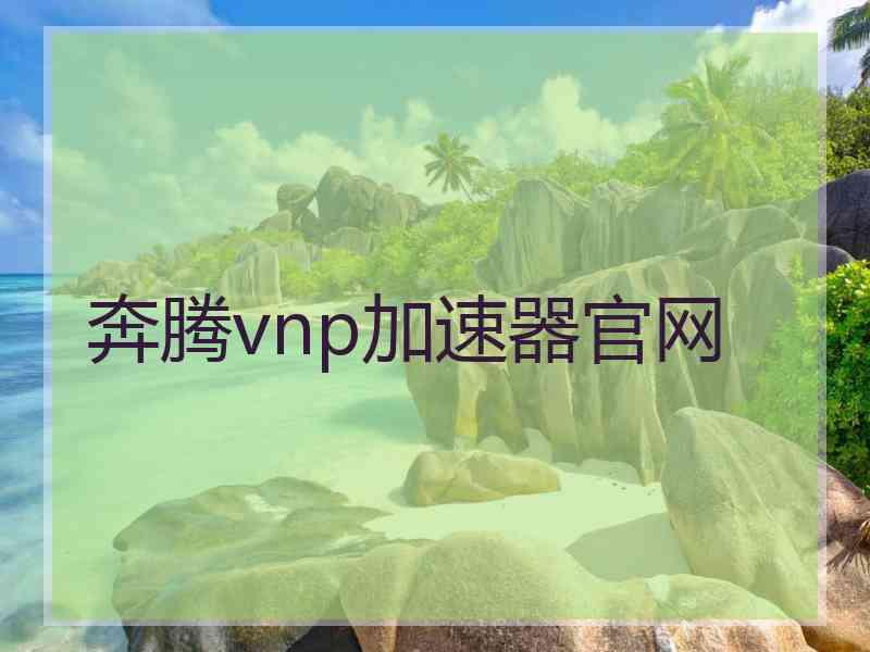 奔腾vnp加速器官网