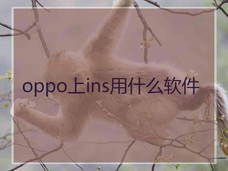 oppo上ins用什么软件