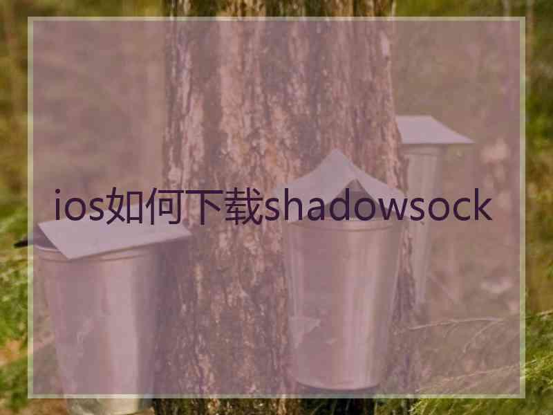 ios如何下载shadowsock