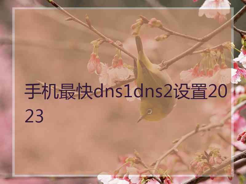 手机最快dns1dns2设置2023