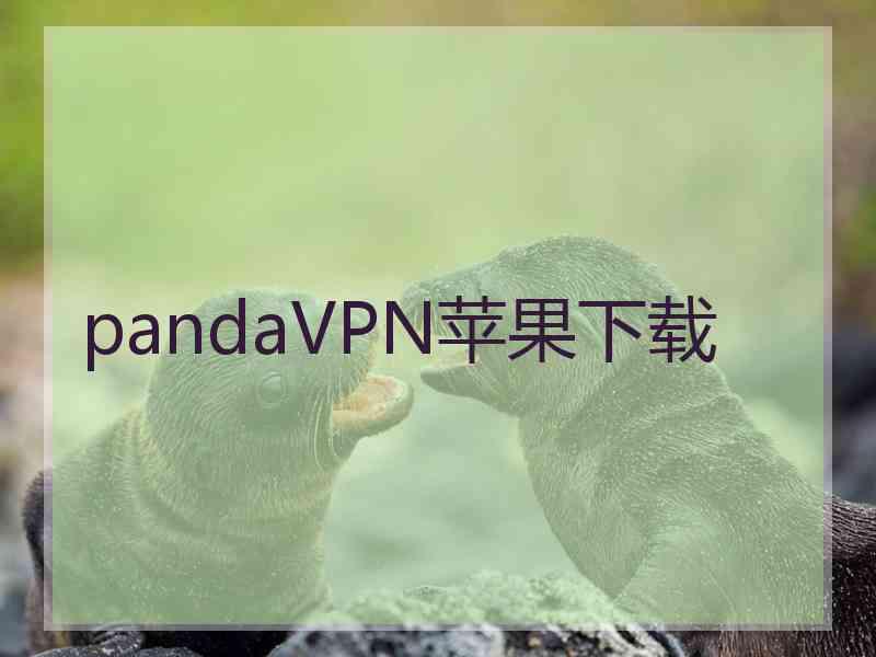 pandaVPN苹果下载