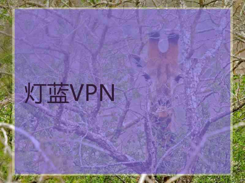 灯蓝VPN