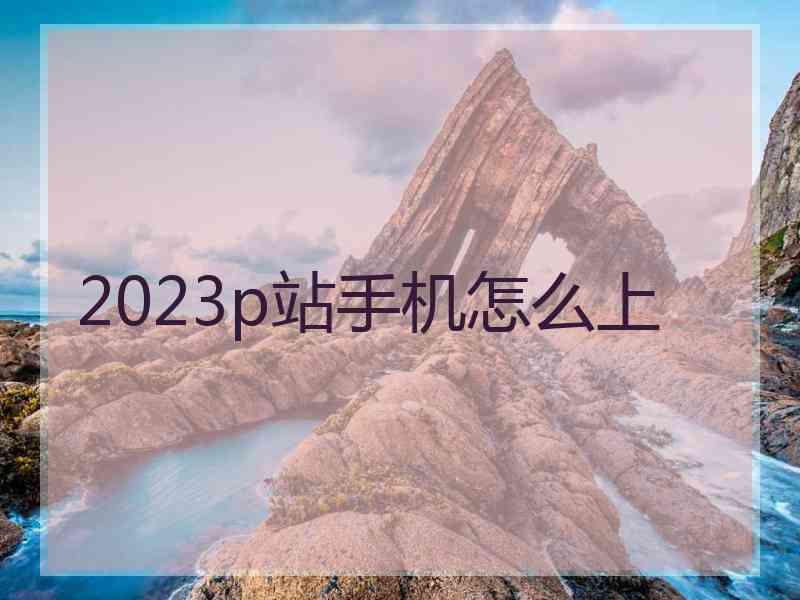 2023p站手机怎么上