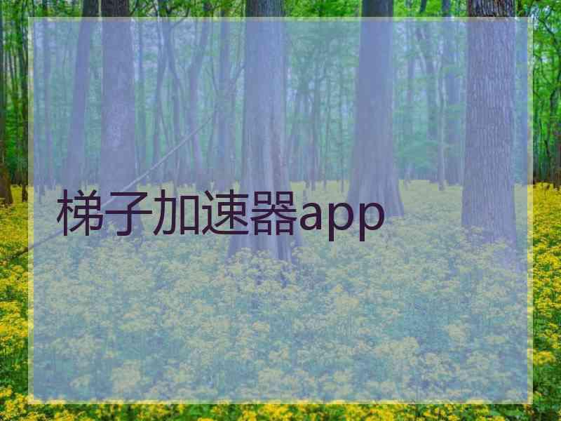 梯子加速器app