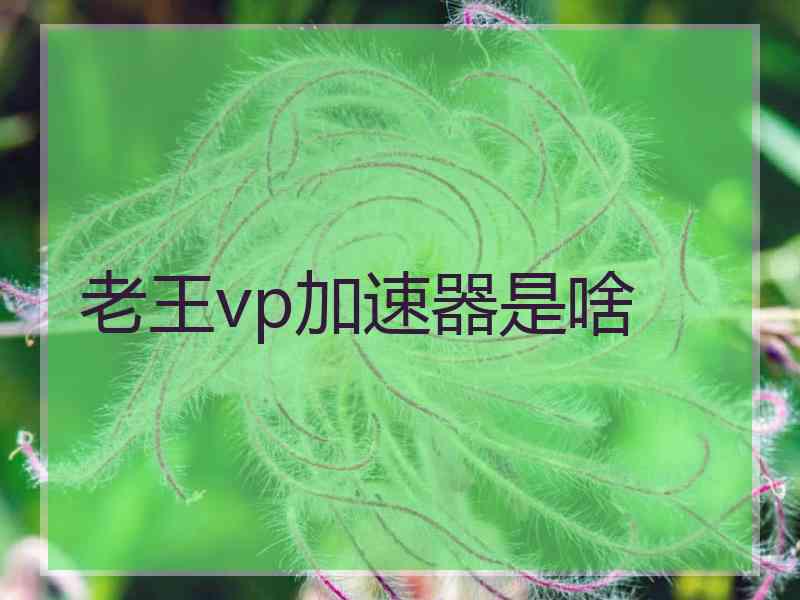 老王vp加速器是啥