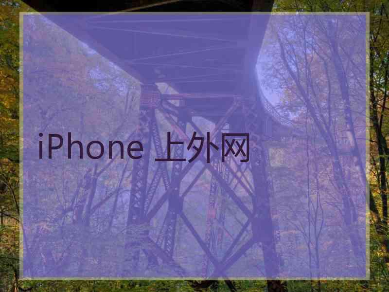 iPhone 上外网