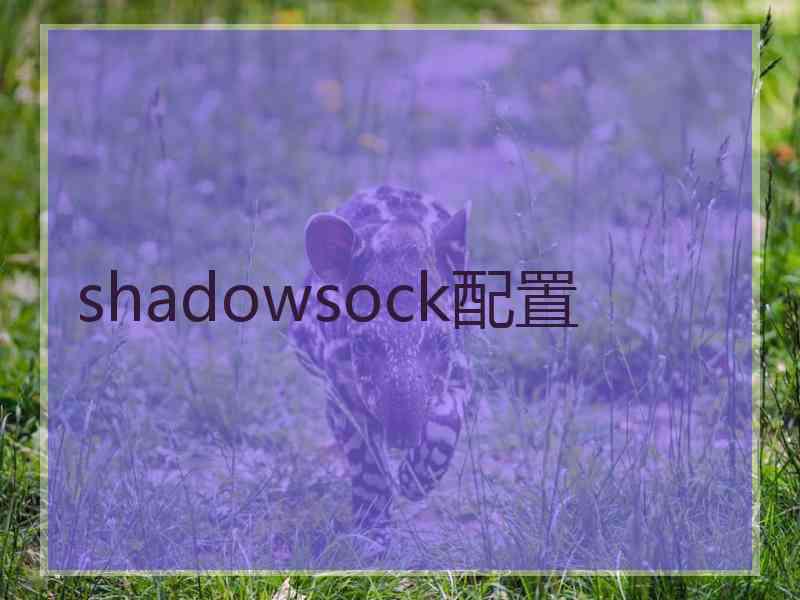 shadowsock配置