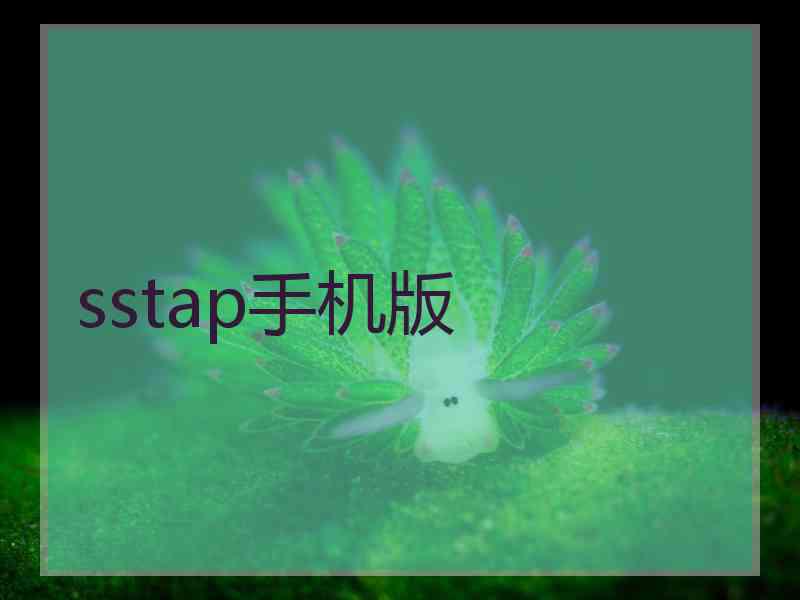 sstap手机版